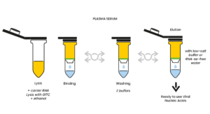 Danagene Spin Viral Dna Rna Kit Danagen