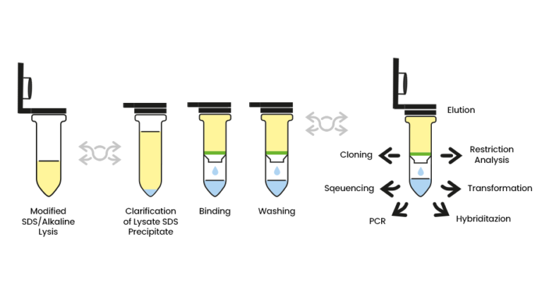 DANAGENE PLASMID MiniPrep Kit – Danagen