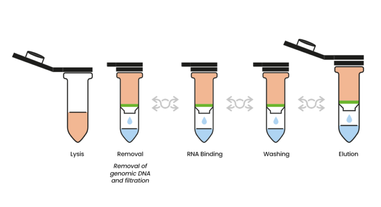 Danagene Tissue Cells Rna Kit Danagen